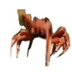 A good/proper animation.